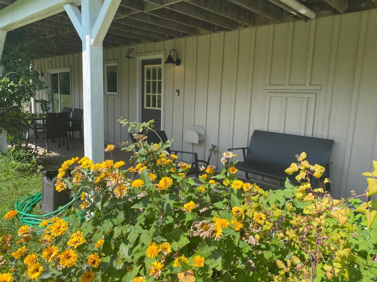The Glen Huron Inn Duntroon Экстерьер фото