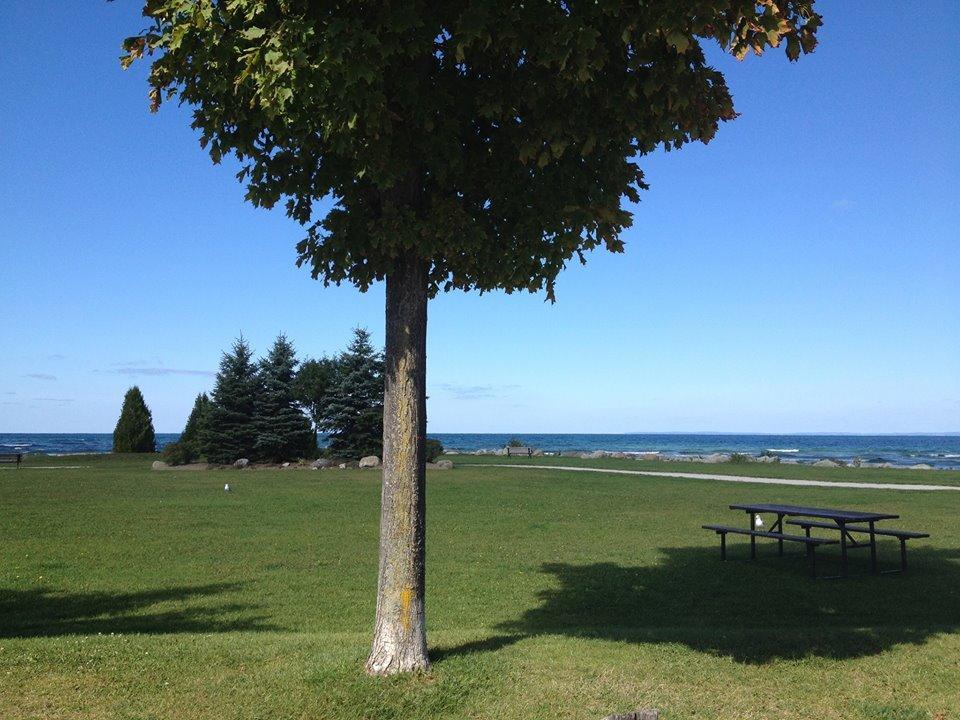 The Glen Huron Inn Duntroon Экстерьер фото