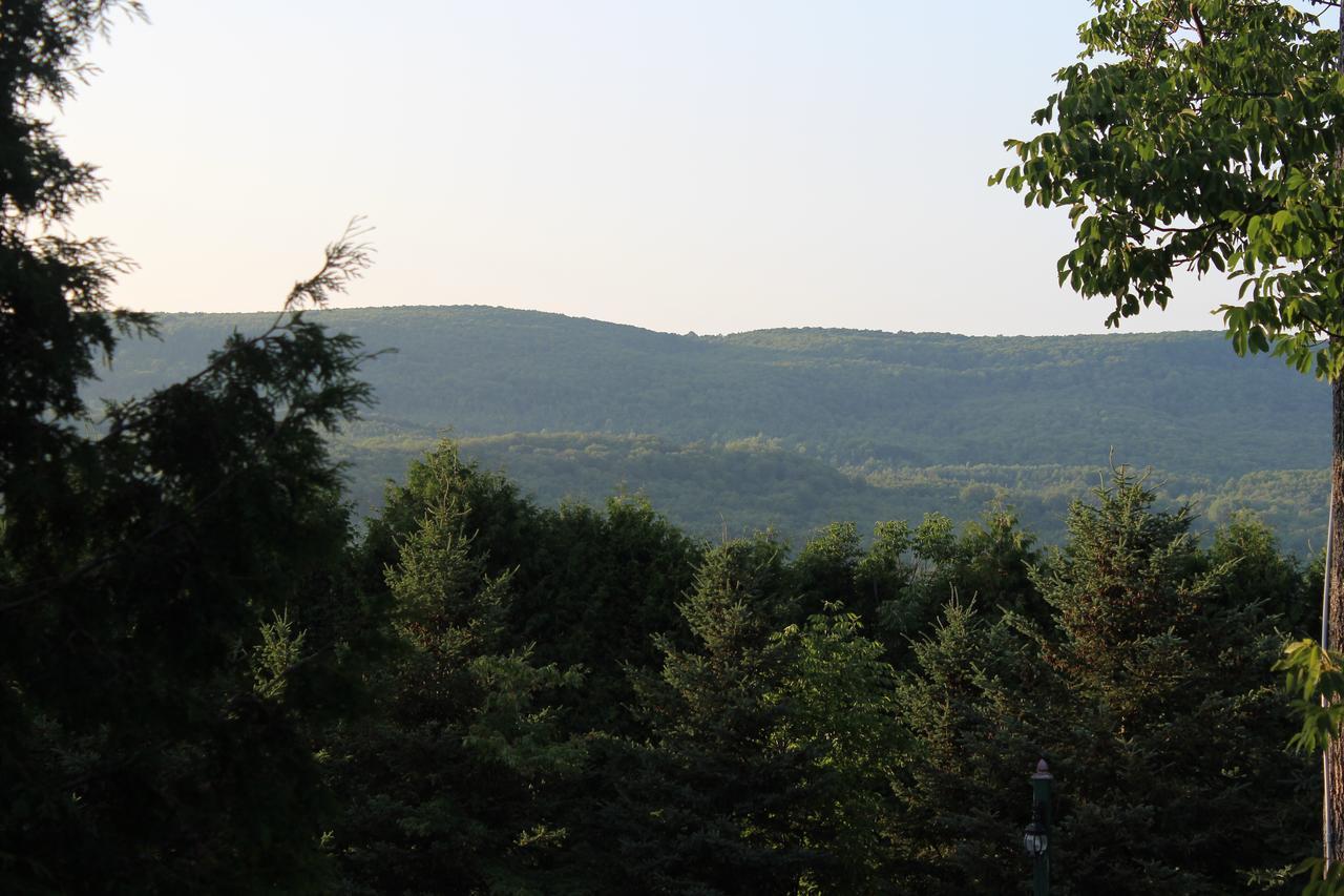 The Glen Huron Inn Duntroon Экстерьер фото