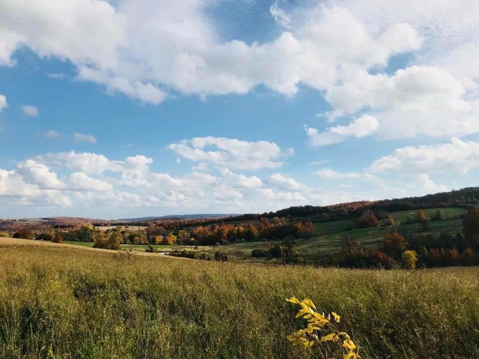 The Glen Huron Inn Duntroon Экстерьер фото